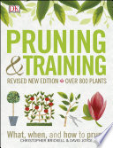 Pruning and training : what, when, and how to prune by Brickell, Christopher