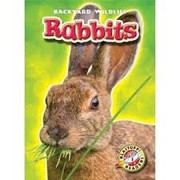 Rabbits