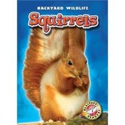 Squirrels