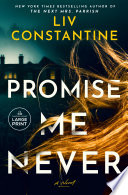 Promise me never : a novel