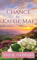 A chance for Kallie Mae : a novel